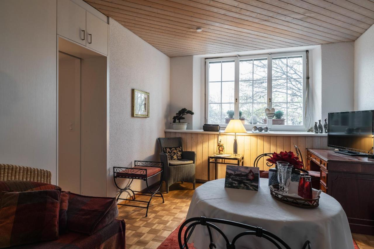 Art Deco Villa Mon Abri Bnb Goldau Exterior foto